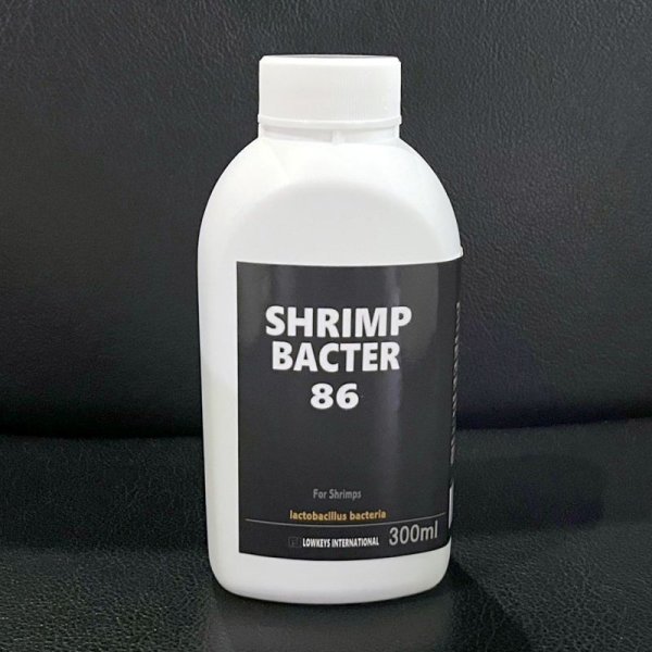 画像1: SHRIMP BACTER 86 300ml (1)